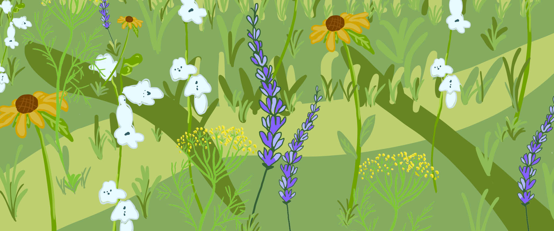 flower background.jpg thumbnail